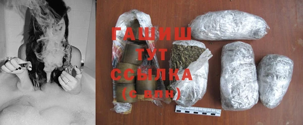 сатива Армянск