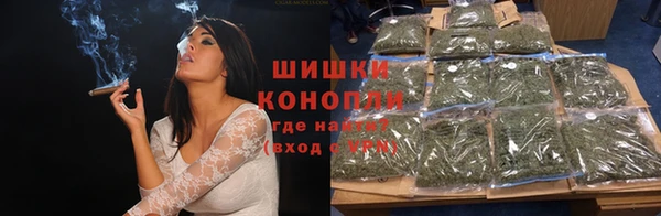 индика Арсеньев