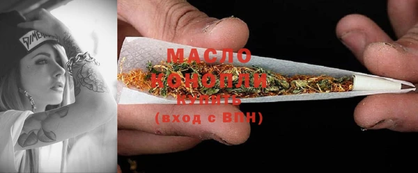 индика Арсеньев