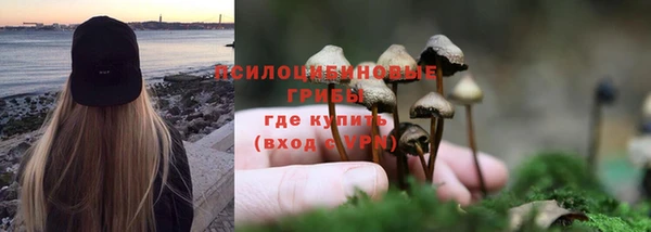 сатива Армянск