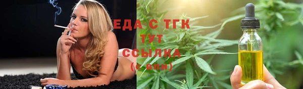 индика Арсеньев