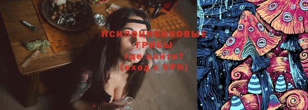 индика Арсеньев