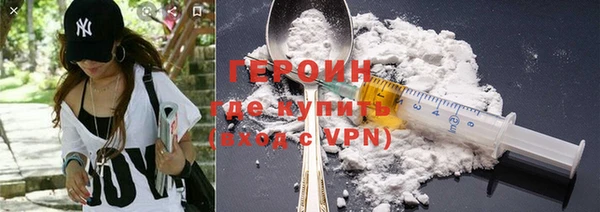 индика Арсеньев