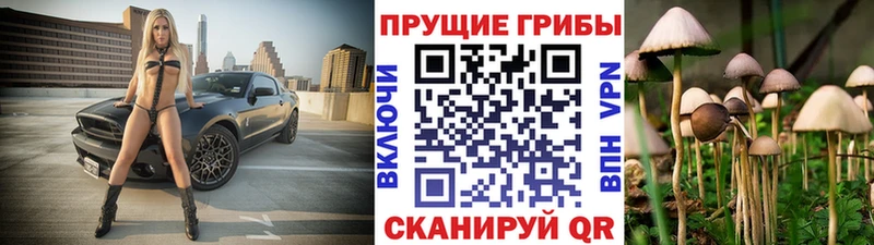 Псилоцибиновые грибы Magic Shrooms  Нижнеудинск 